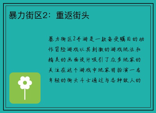 暴力街区2：重返街头