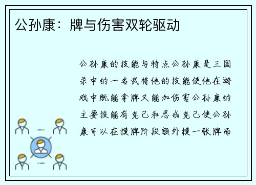 公孙康：牌与伤害双轮驱动